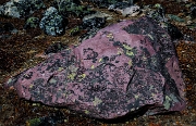 Rock & Lichen 12-4974